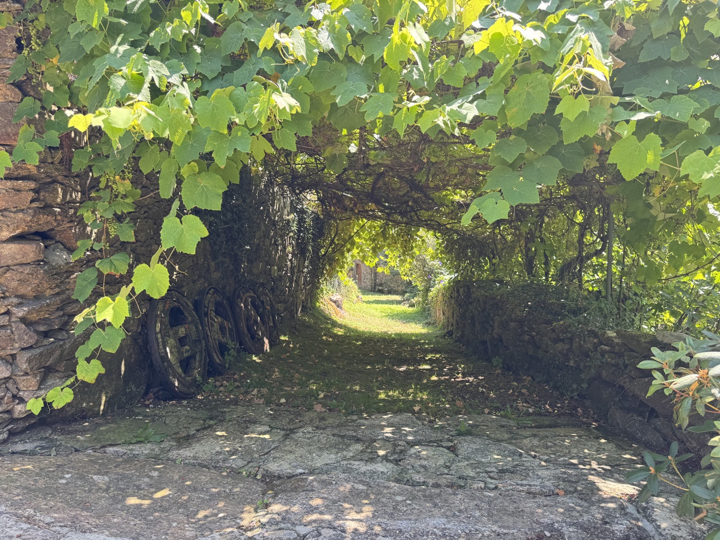 Parra y jardín de la finca privada