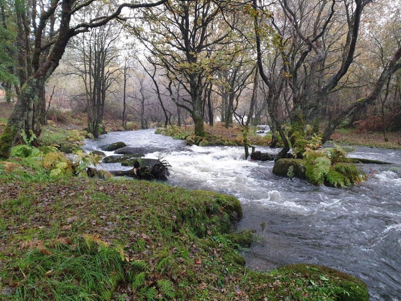 Orilla del Río Grande accesible desde la finca privada